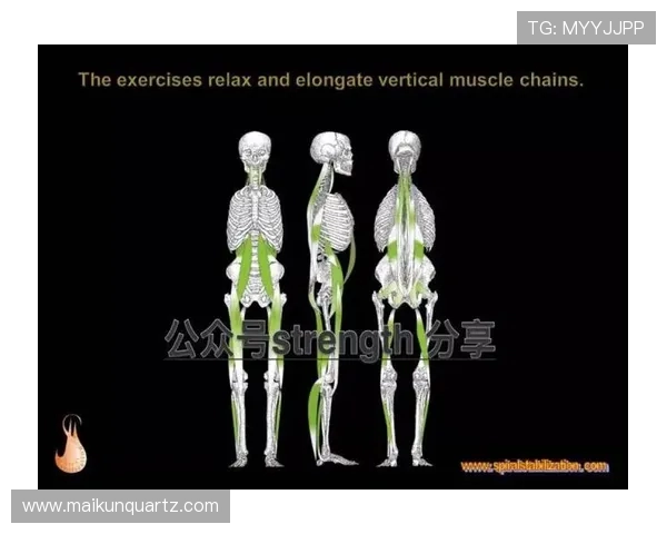 打造健康生活方式的运动计划 从入门到专业的全方位训练指南