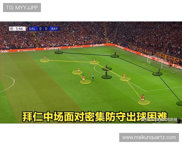 南京排球队的速度分析与战术探讨如何提升比赛表现