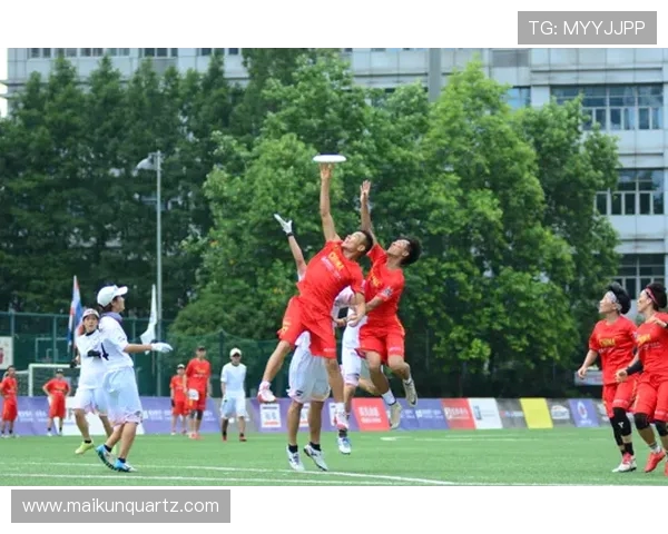 南京飞盘队默契配合的背后故事与训练心得分享